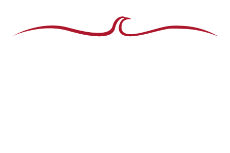 Dan McConchie Logo